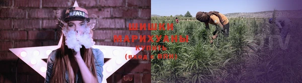 стафф Лабытнанги