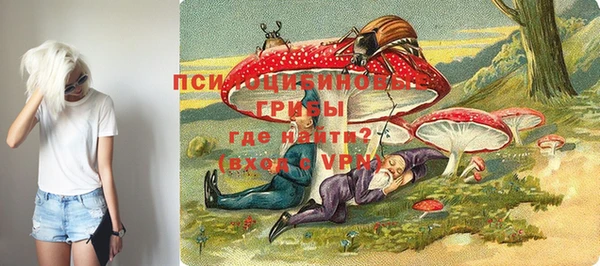 стафф Лабытнанги