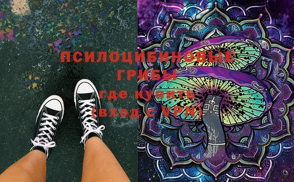 стафф Лабытнанги