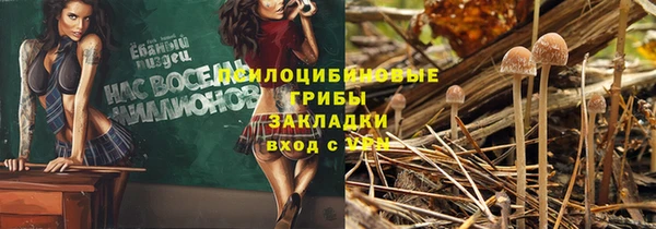 круглые Лагань
