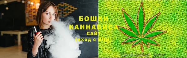 амф Ладушкин