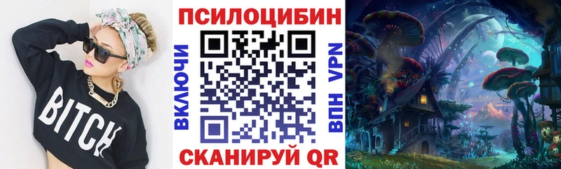 Купить где  Тюмень  Галлюциногенные грибы Cubensis 